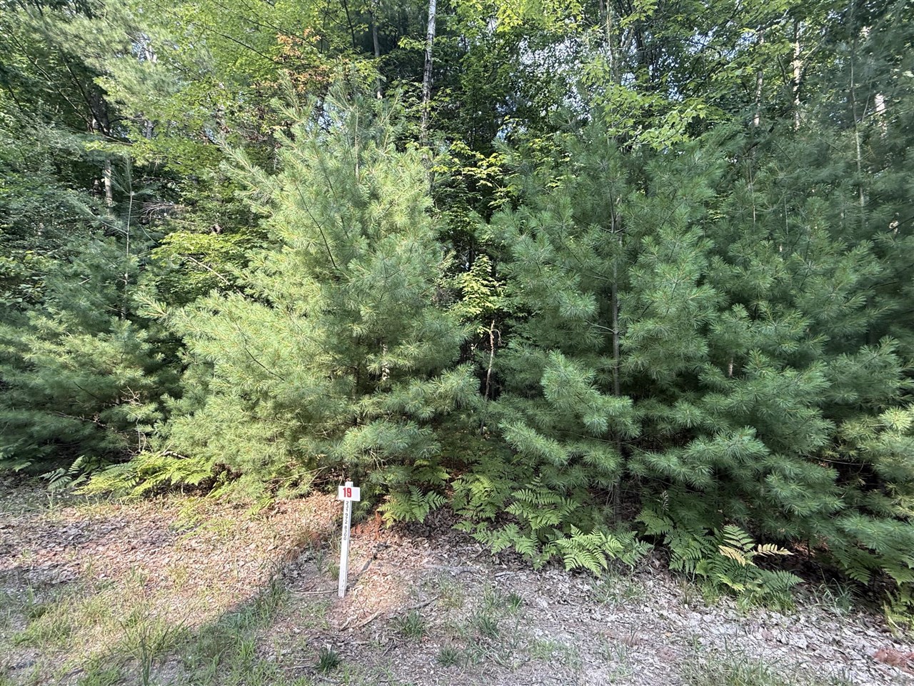 6842 White Pine Drive Property Photo 1