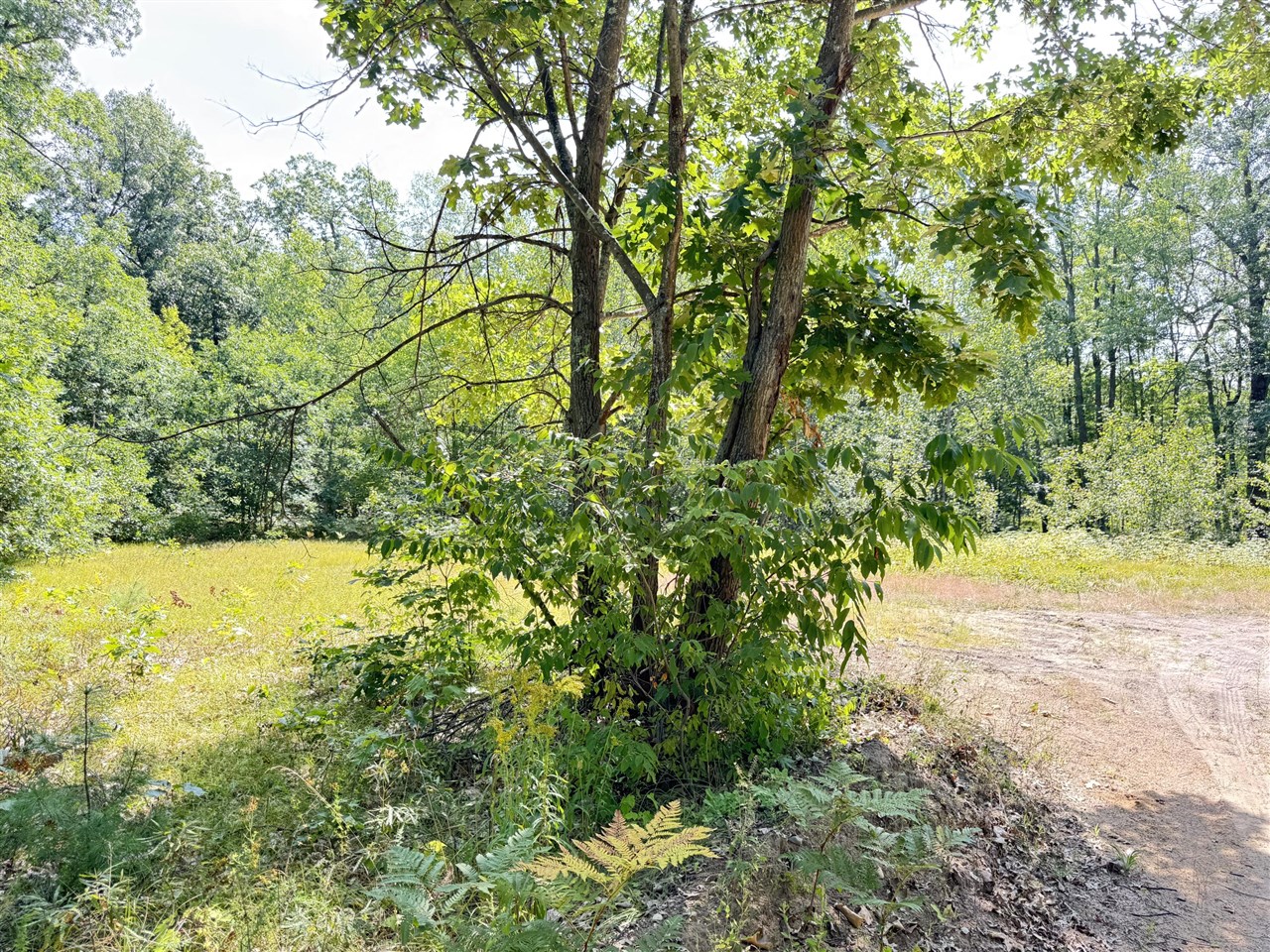 Vl 10th Avenue Property Photo 3