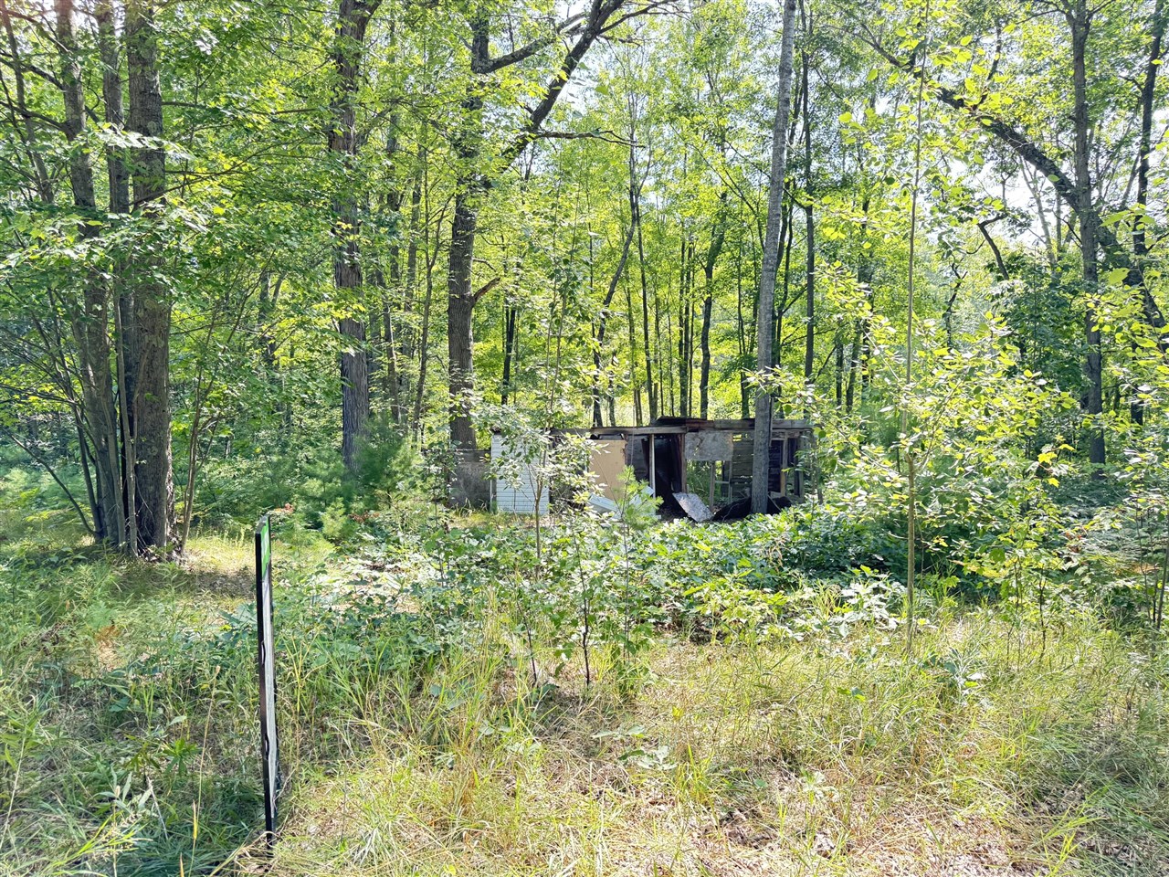 Vl 10th Avenue Property Photo 5
