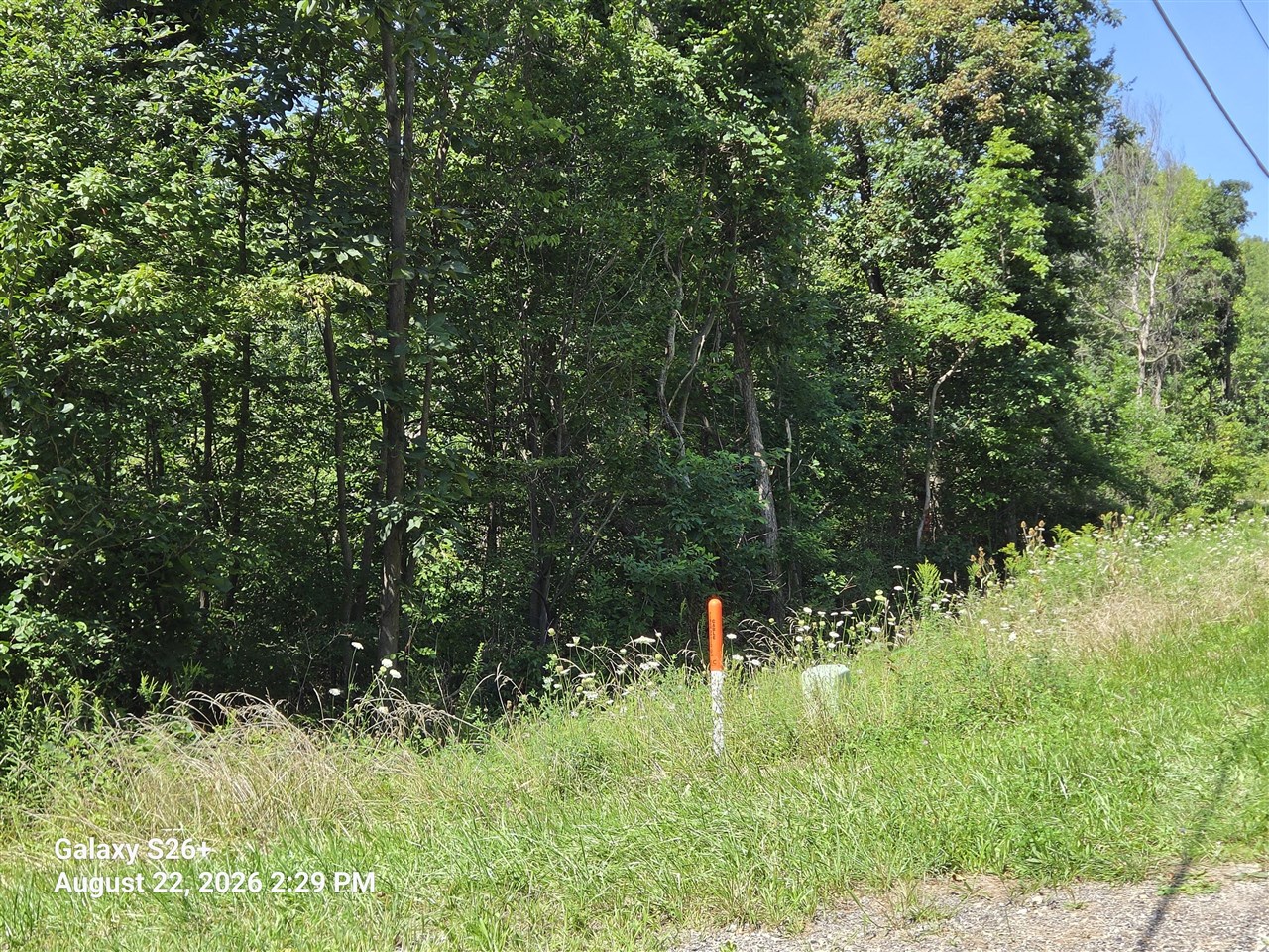 3079 Pershing Drive Property Photo 1