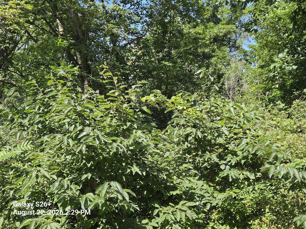 3079 Pershing Drive Property Photo 5