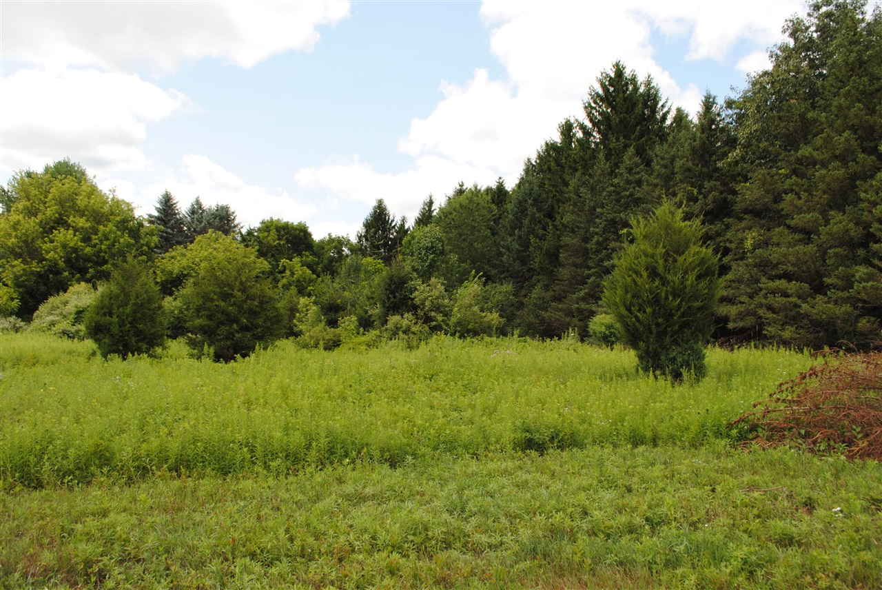 3190 Luna Drive Property Photo 1