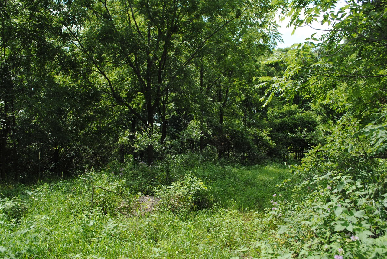 3190 Luna Drive Property Photo 14