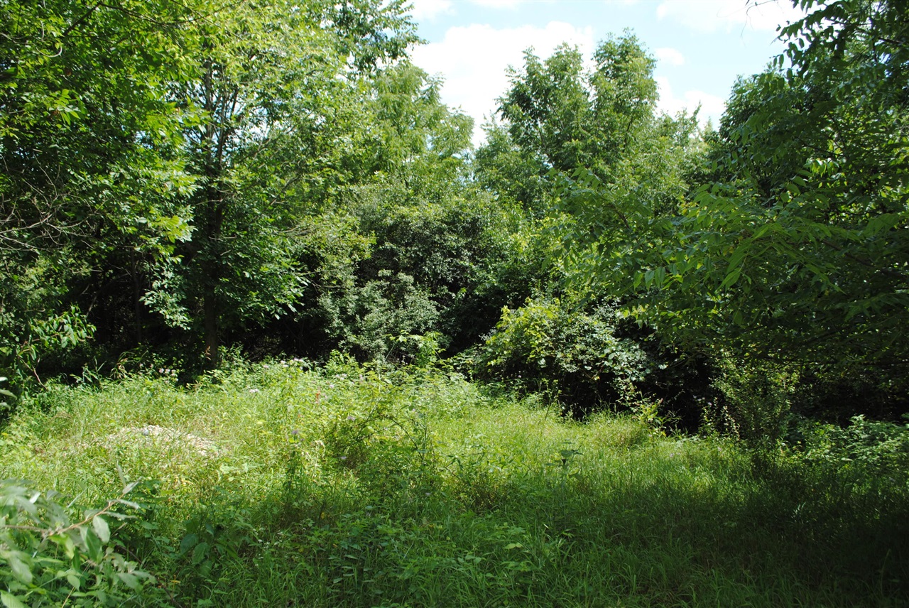 3190 Luna Drive Property Photo 15