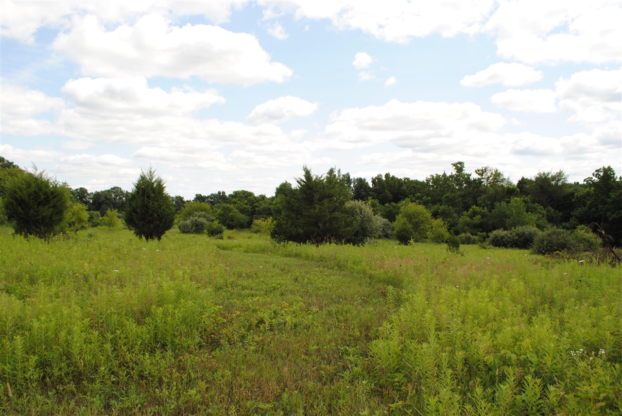 3199 Luna Drive Property Photo 6