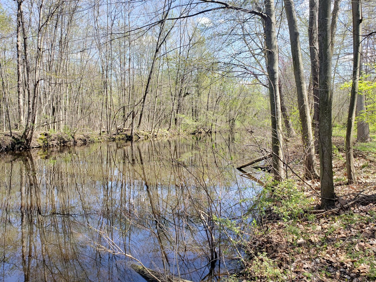 5295 N Watervliet Road Property Photo 1