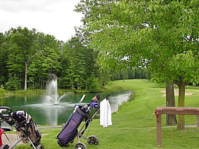 6804 Maple Court Property Photo 3