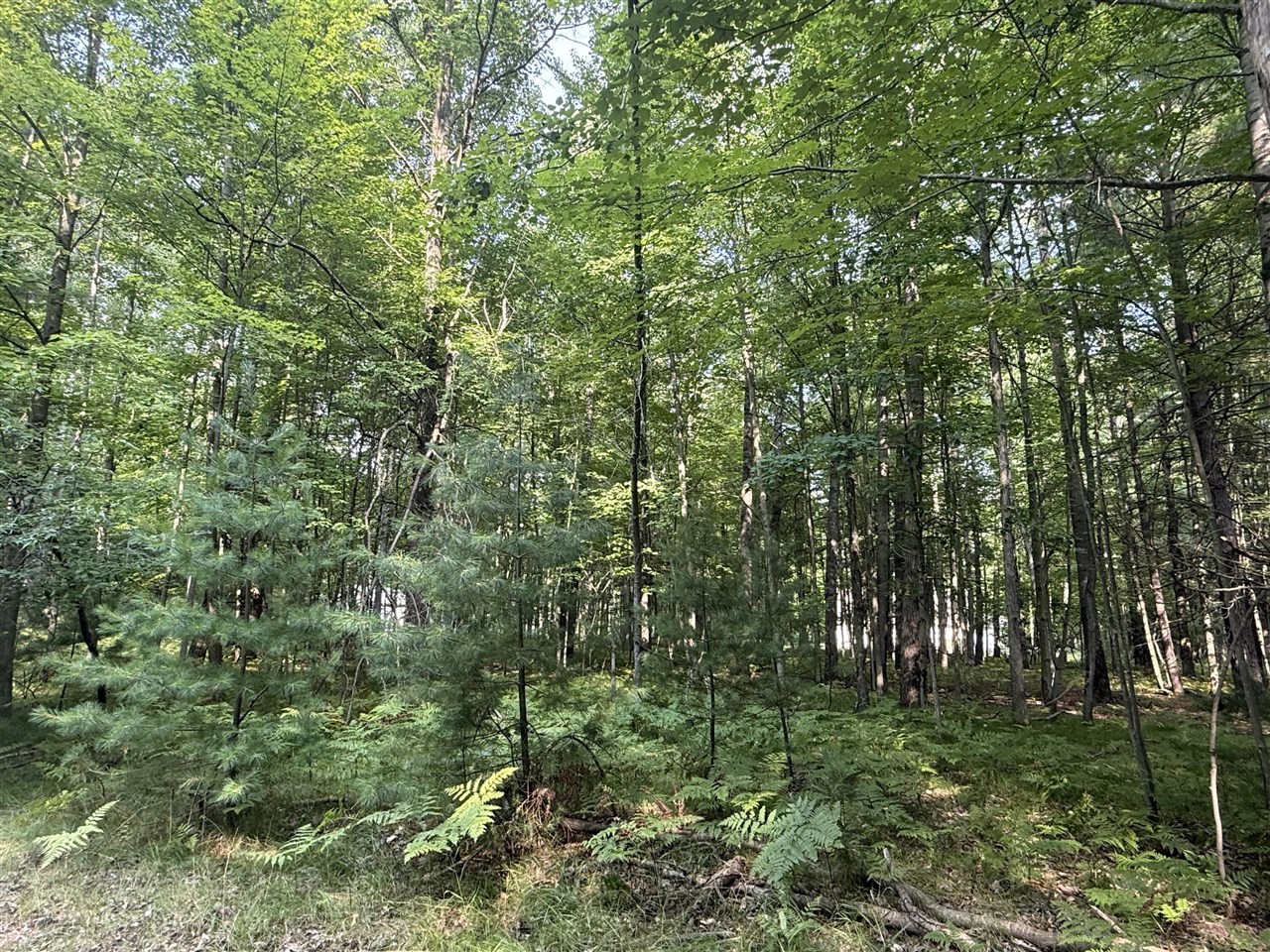 6804 Maple Court Property Photo 9
