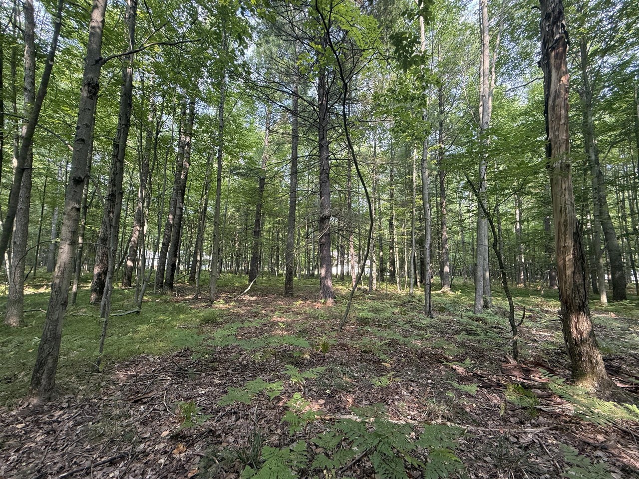 6804 Maple Court Property Photo 11