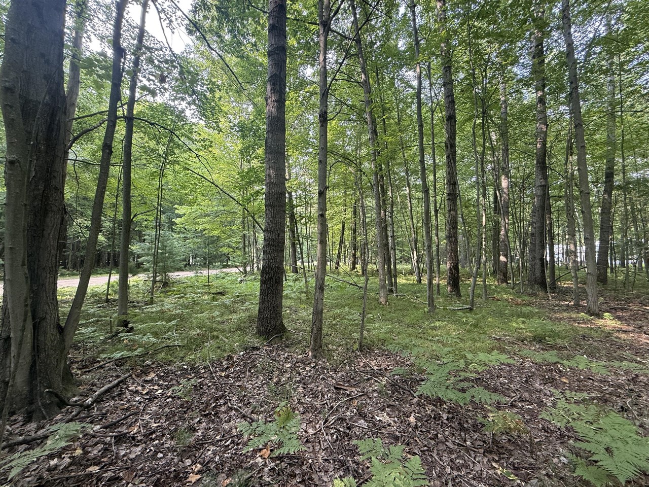 6804 Maple Court Property Photo 13