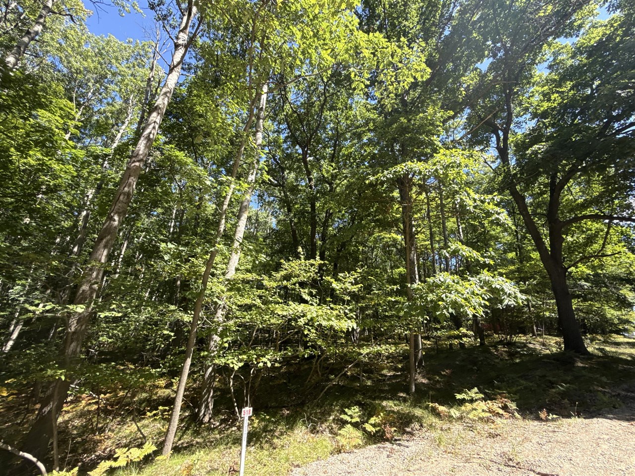 12090 Dubois Drive Property Photo 2