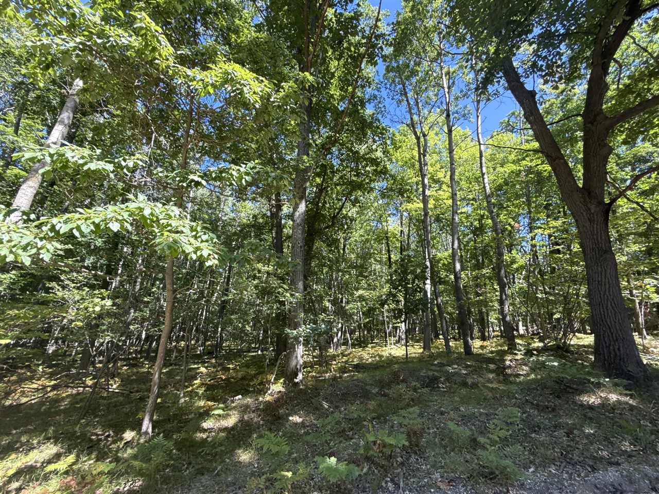 12090 Dubois Drive Property Photo 4