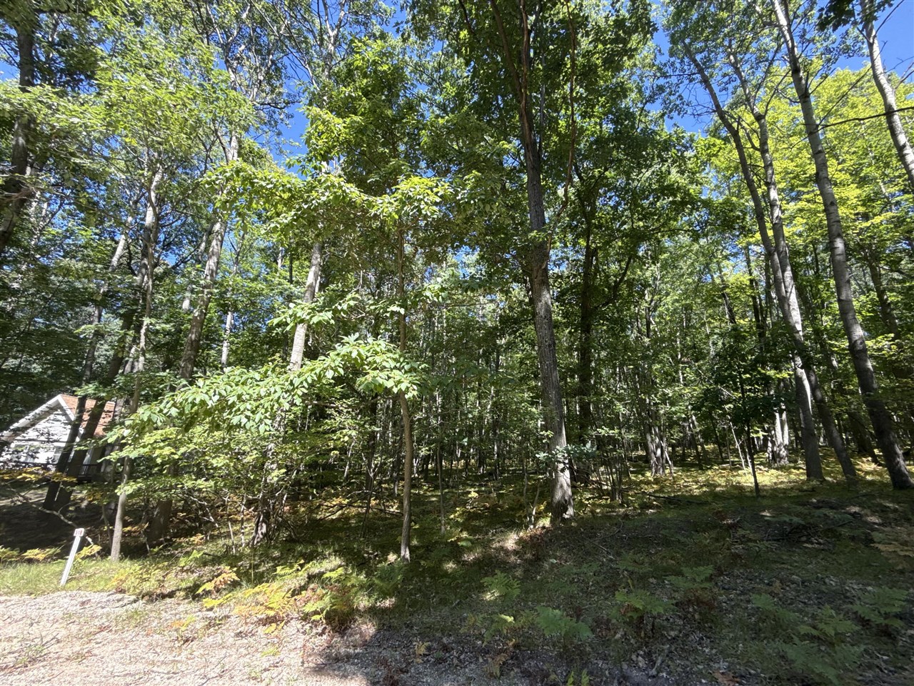 12090 Dubois Drive Property Photo 5