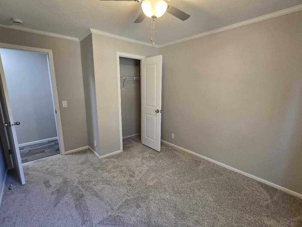 685 S Bingham Avenue Property Photo 19