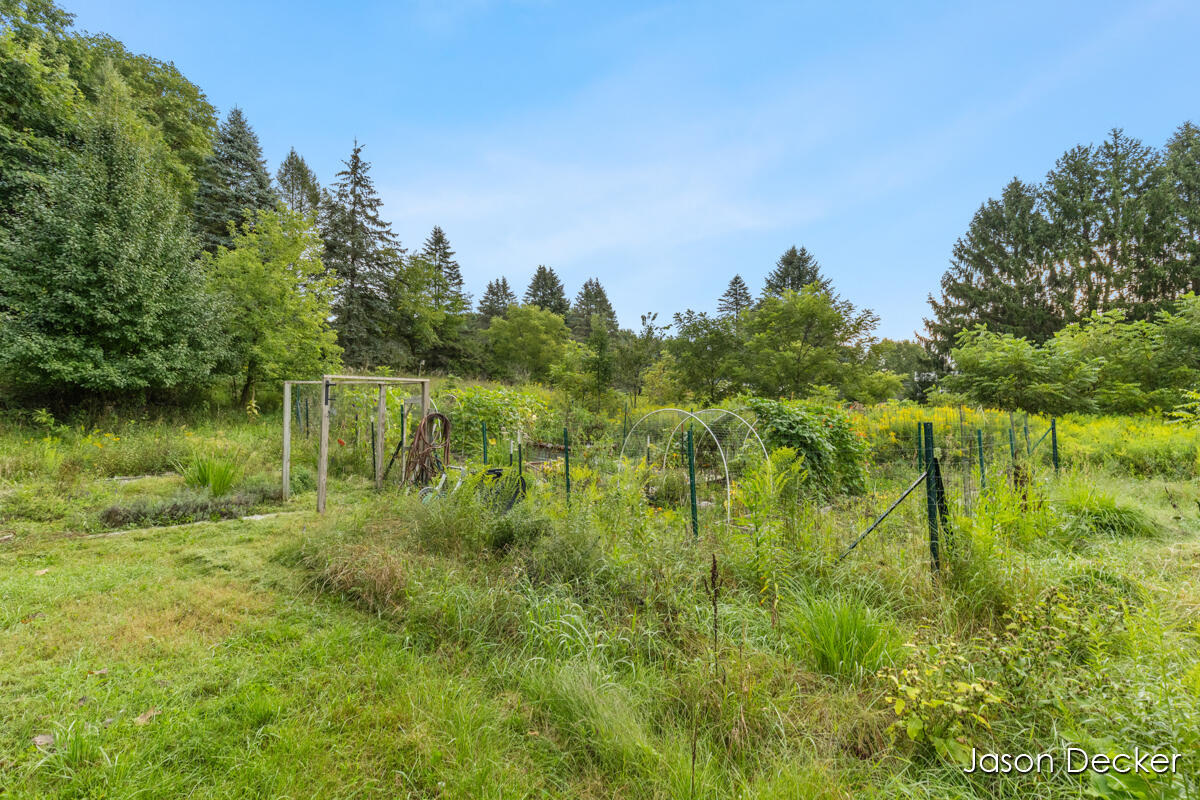6181 10 Mile Road Property Photo 36