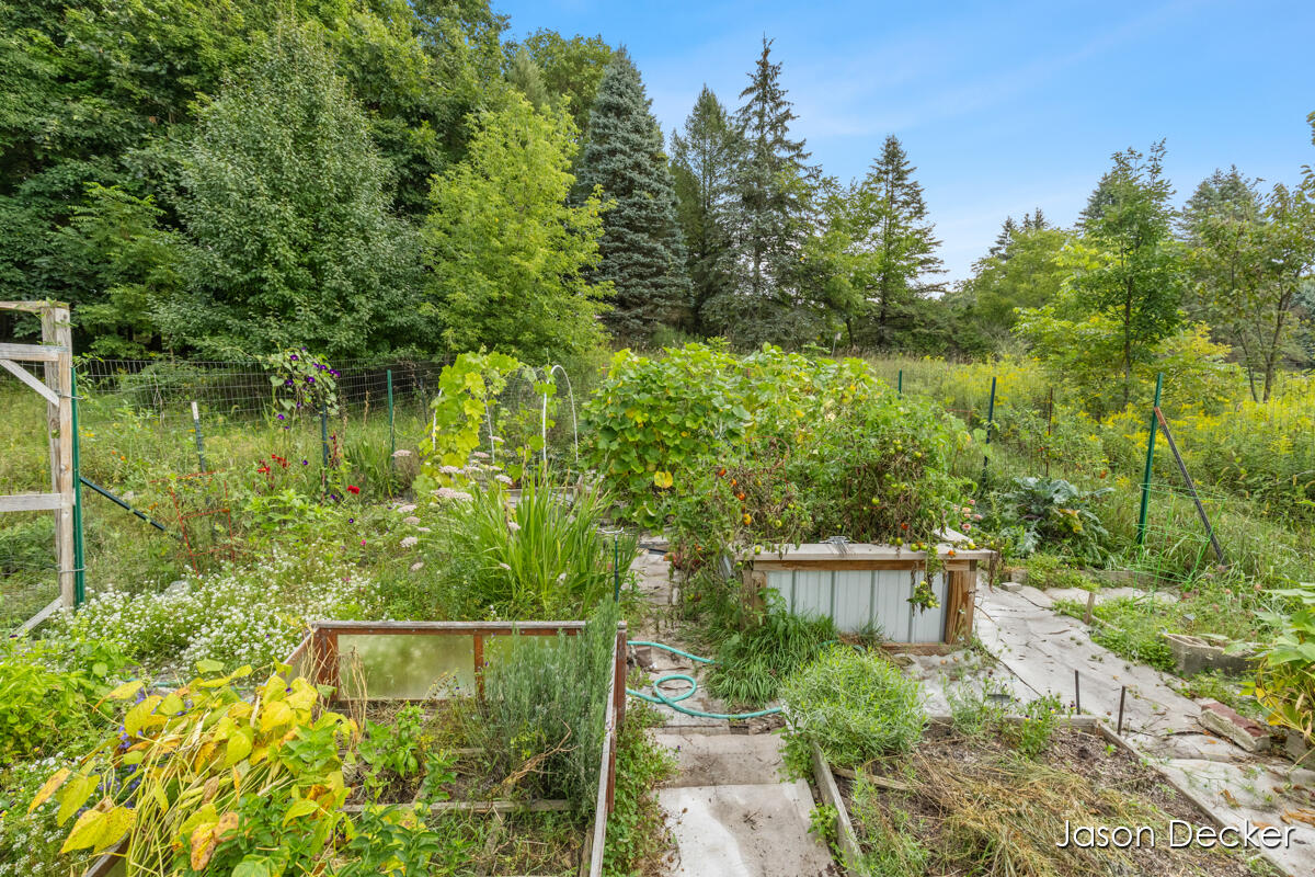 6181 10 Mile Road Property Photo 37