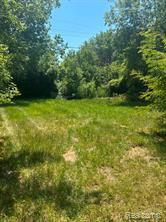 1201 Oleander Drive Property Photo 20