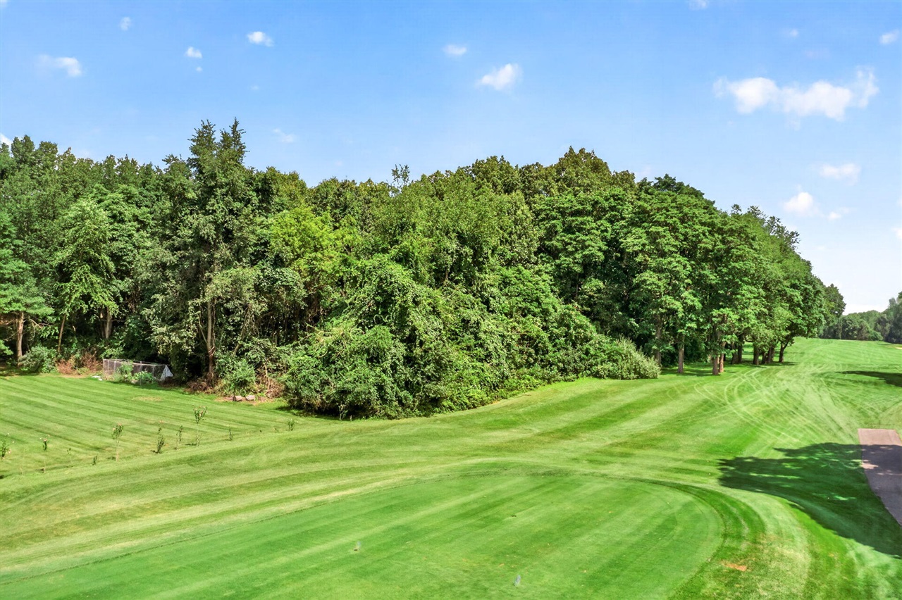 V/L Cayuga Heights Lane Property Photo 1