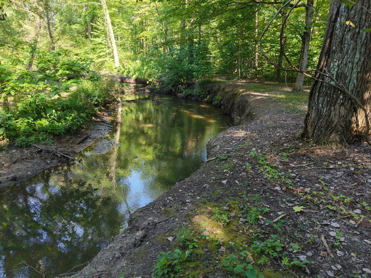 8040 W Martin Road Property Photo 1