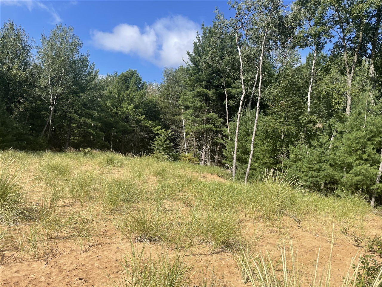 6367 N Dune Grass Trail Property Photo 1