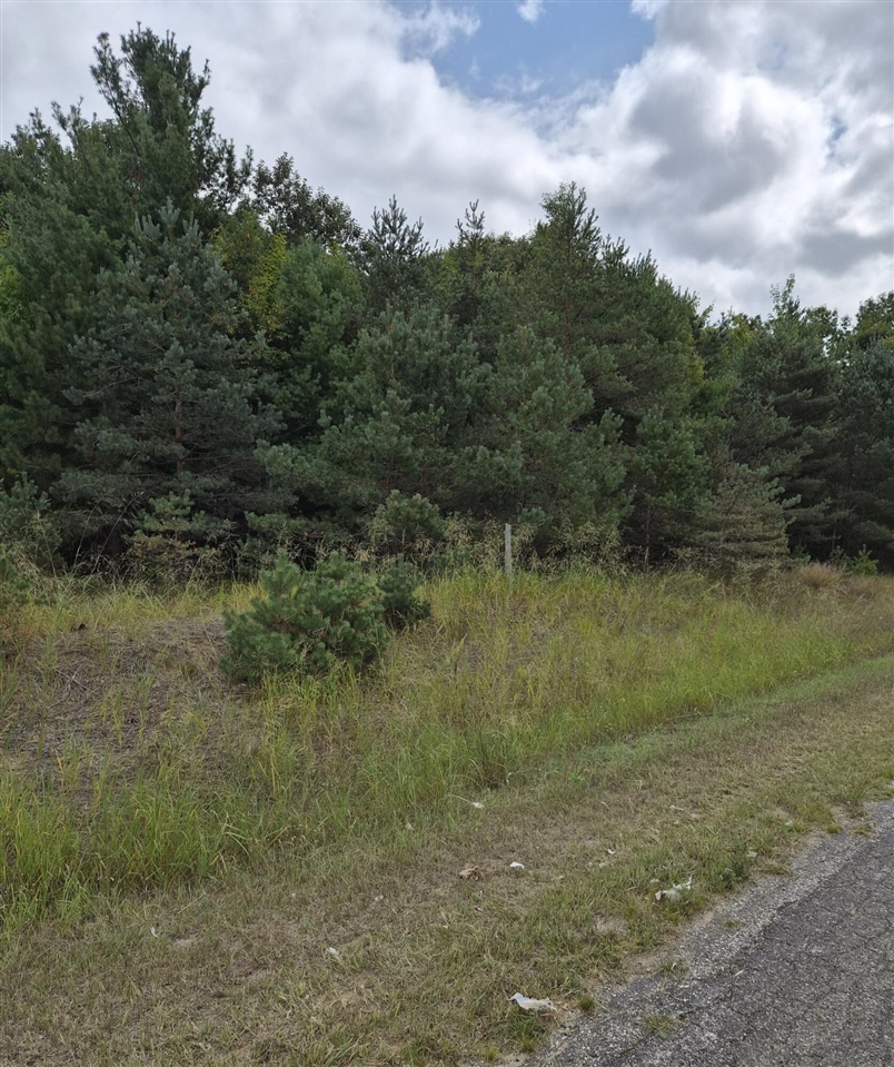 Adamson Lake Road Property Photo 1