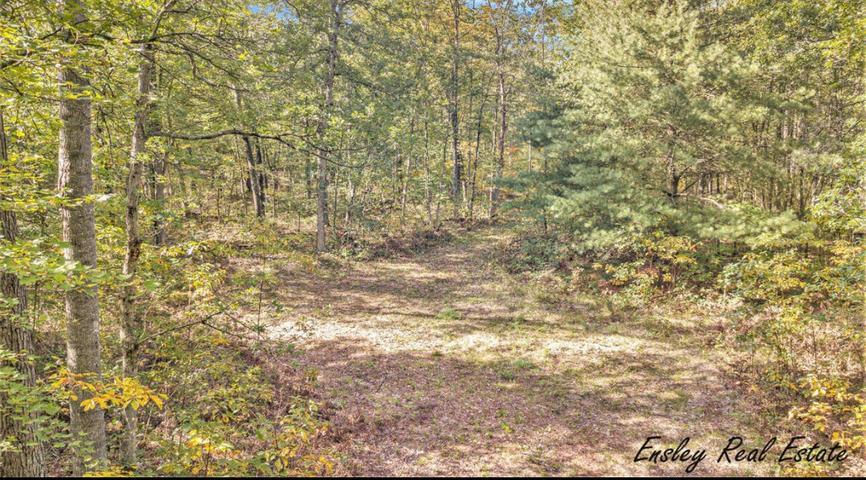10381 Woodland Lane Property Photo 1