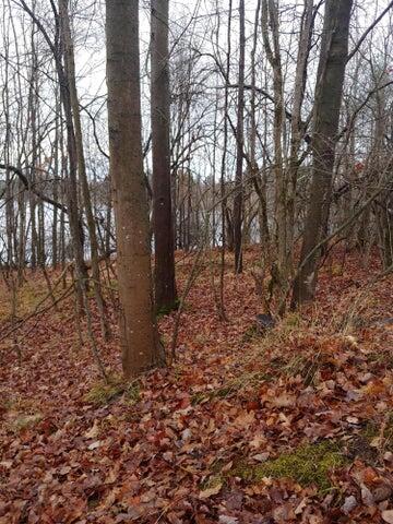 23045 Miramichi Drive Property Photo 2