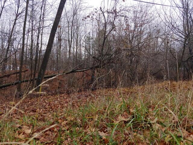 23045 Miramichi Drive Property Photo 5