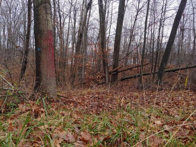 23045 Miramichi Drive Property Photo 6