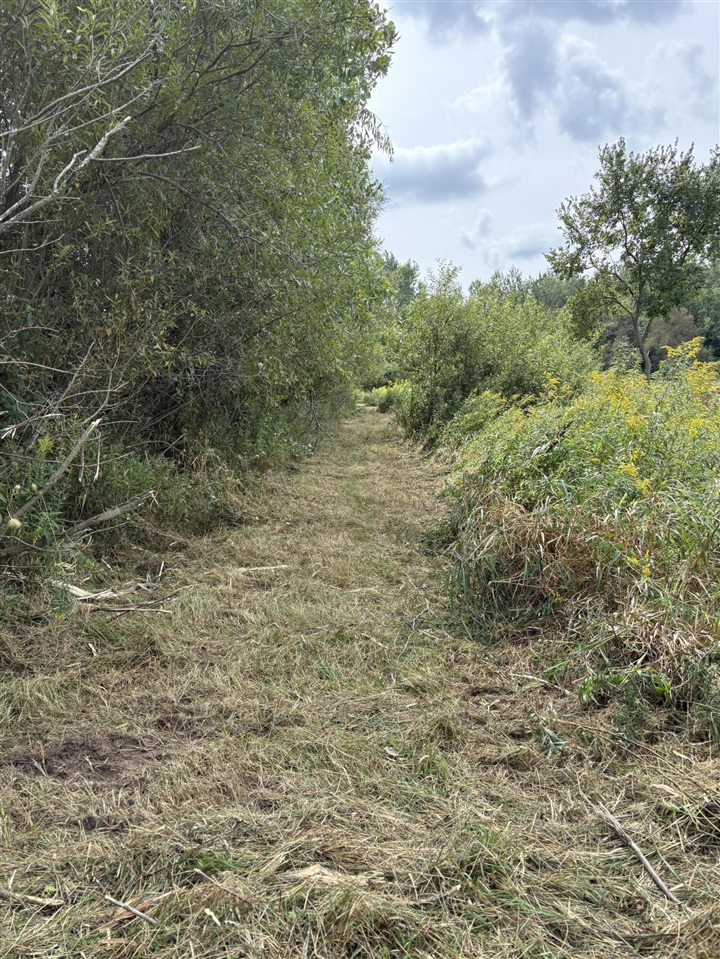 B Drive Property Photo 6