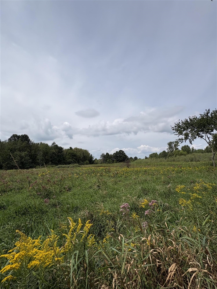 B Drive Property Photo 7