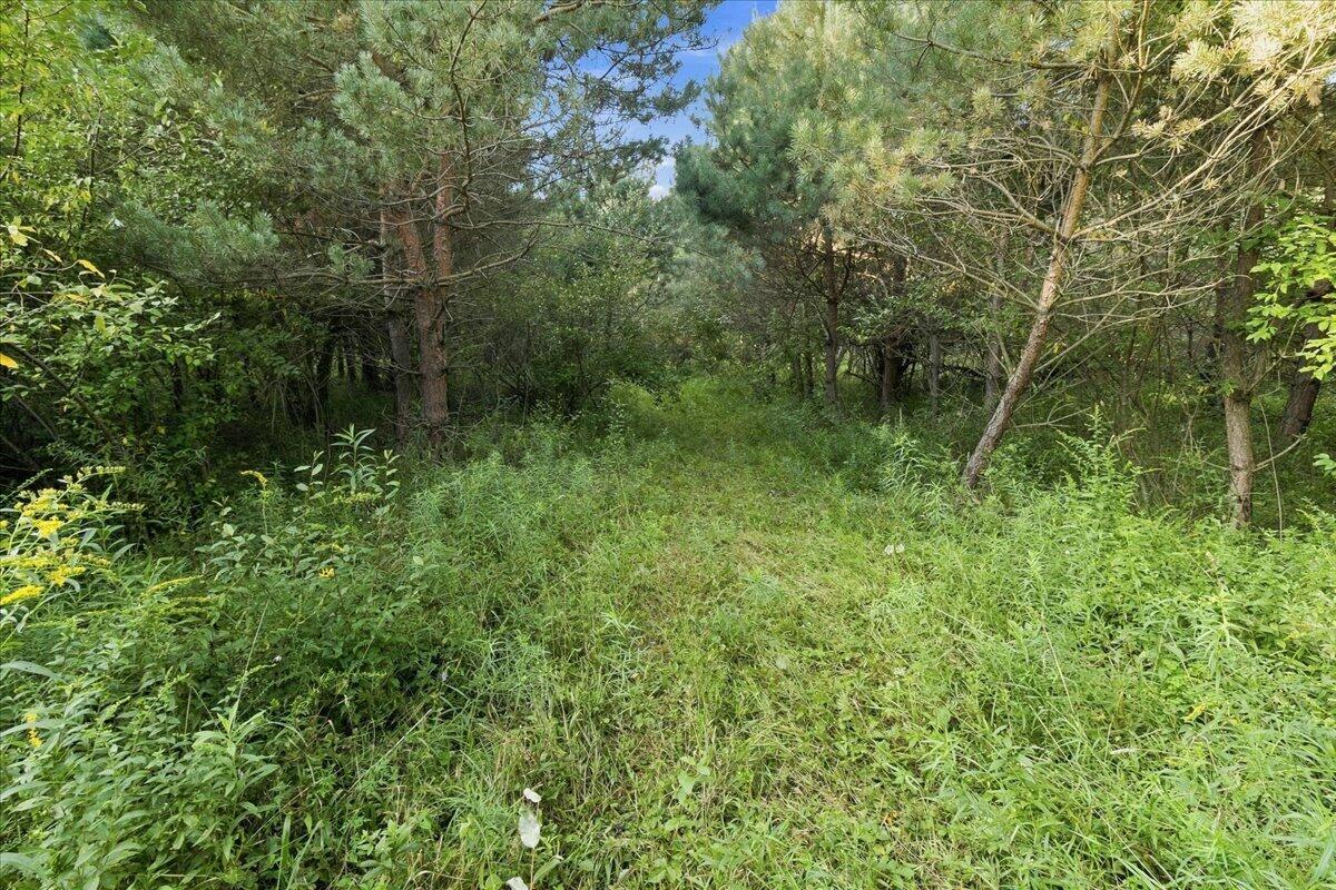 3385 W 108th Street Property Photo 21