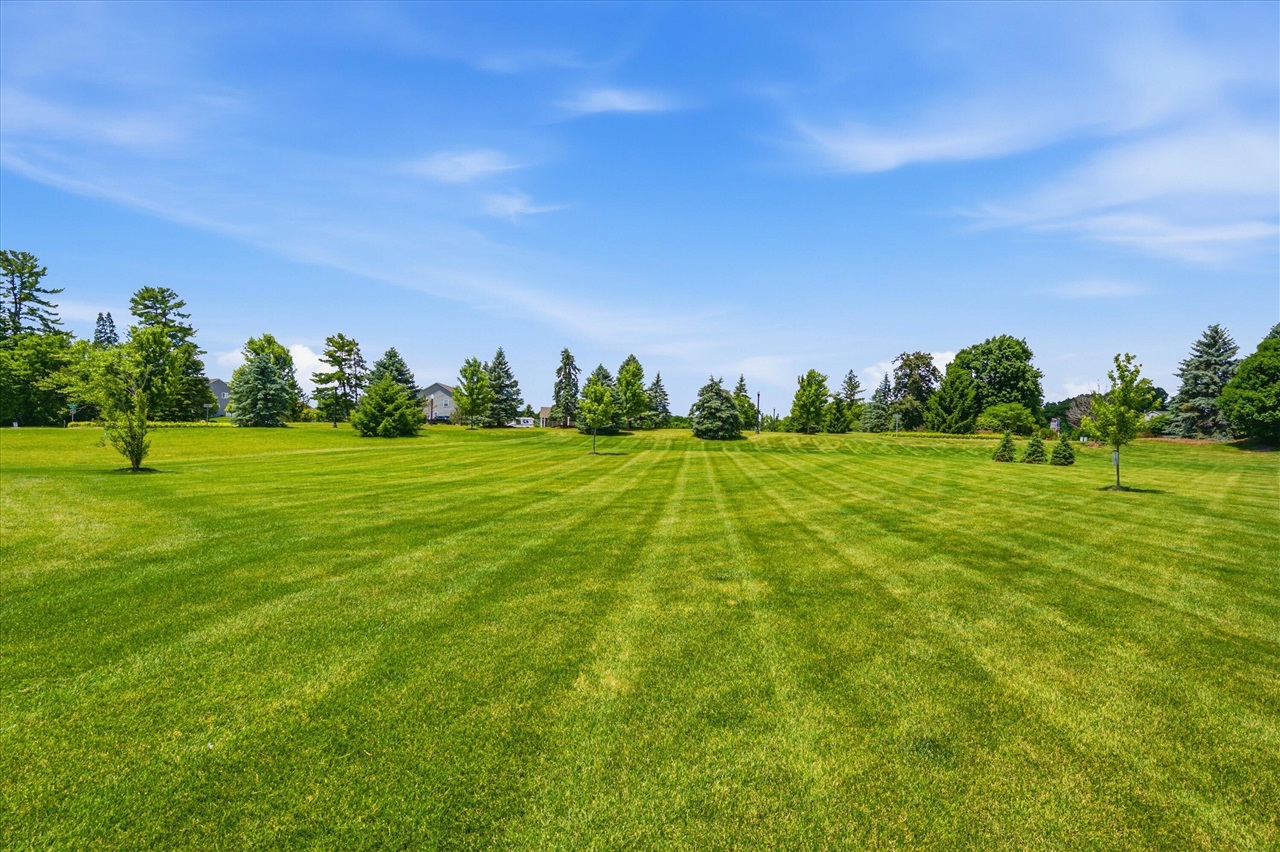 10282 High Meadow Property Photo 45