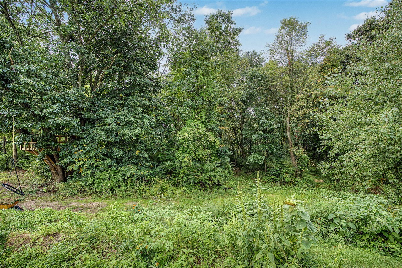 8195 Frie Avenue Property Photo 89