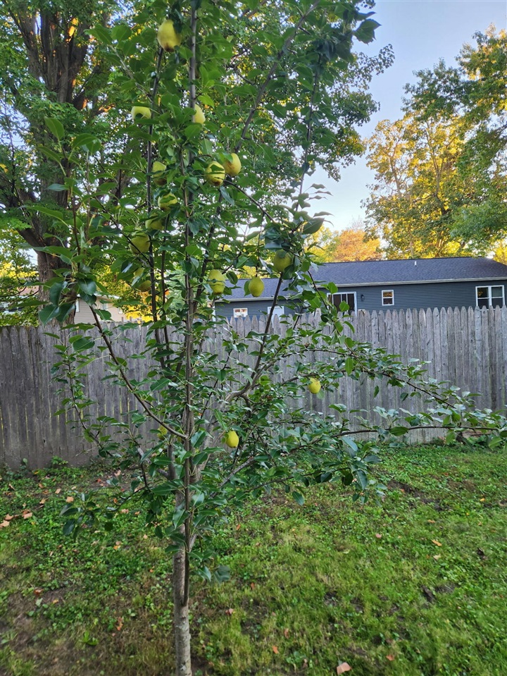 130 E Sycamore Street Property Photo 22