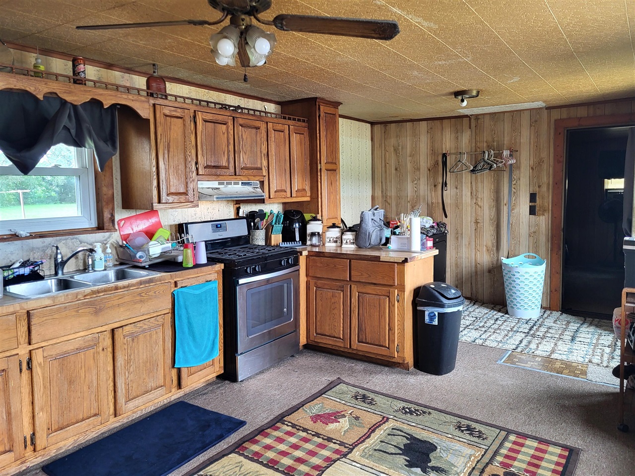 11008 Bair Lake Street Property Photo 4