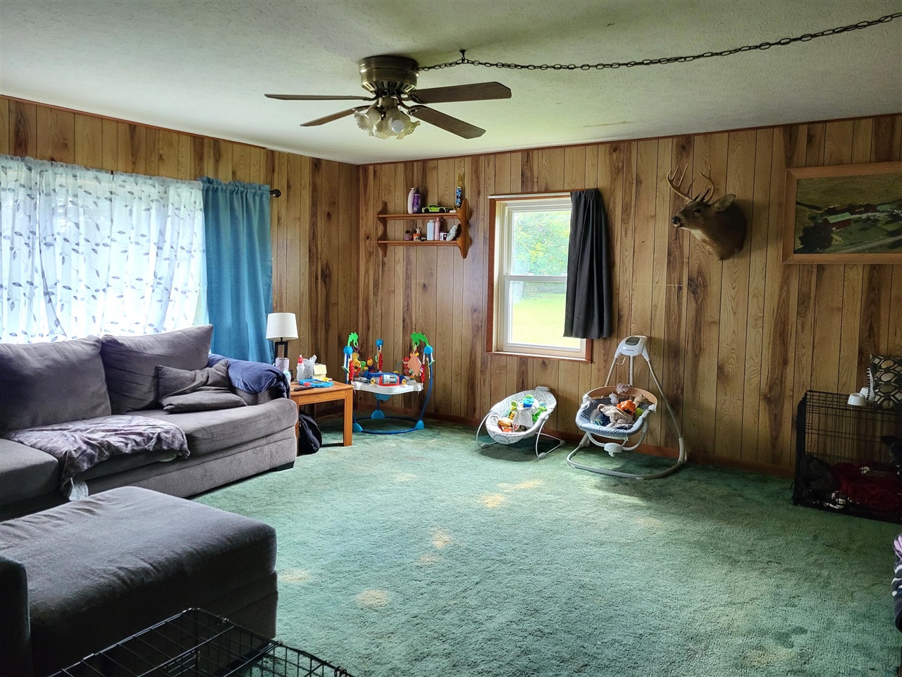 11008 Bair Lake Street Property Photo 12