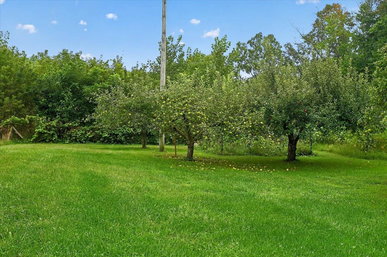 12915 Cassidy Road Property Photo 49