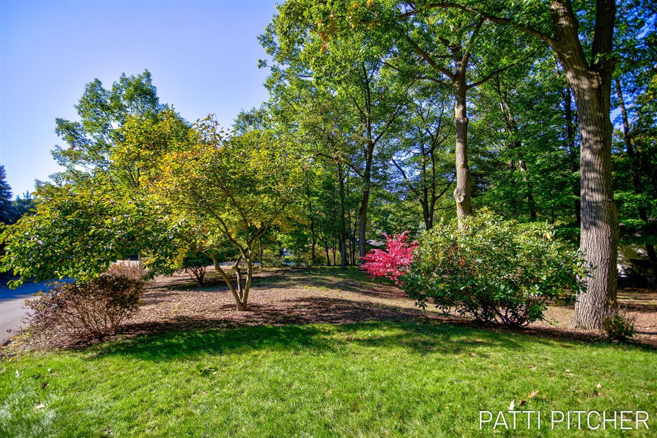 13582 Redbird Lane Property Photo 9