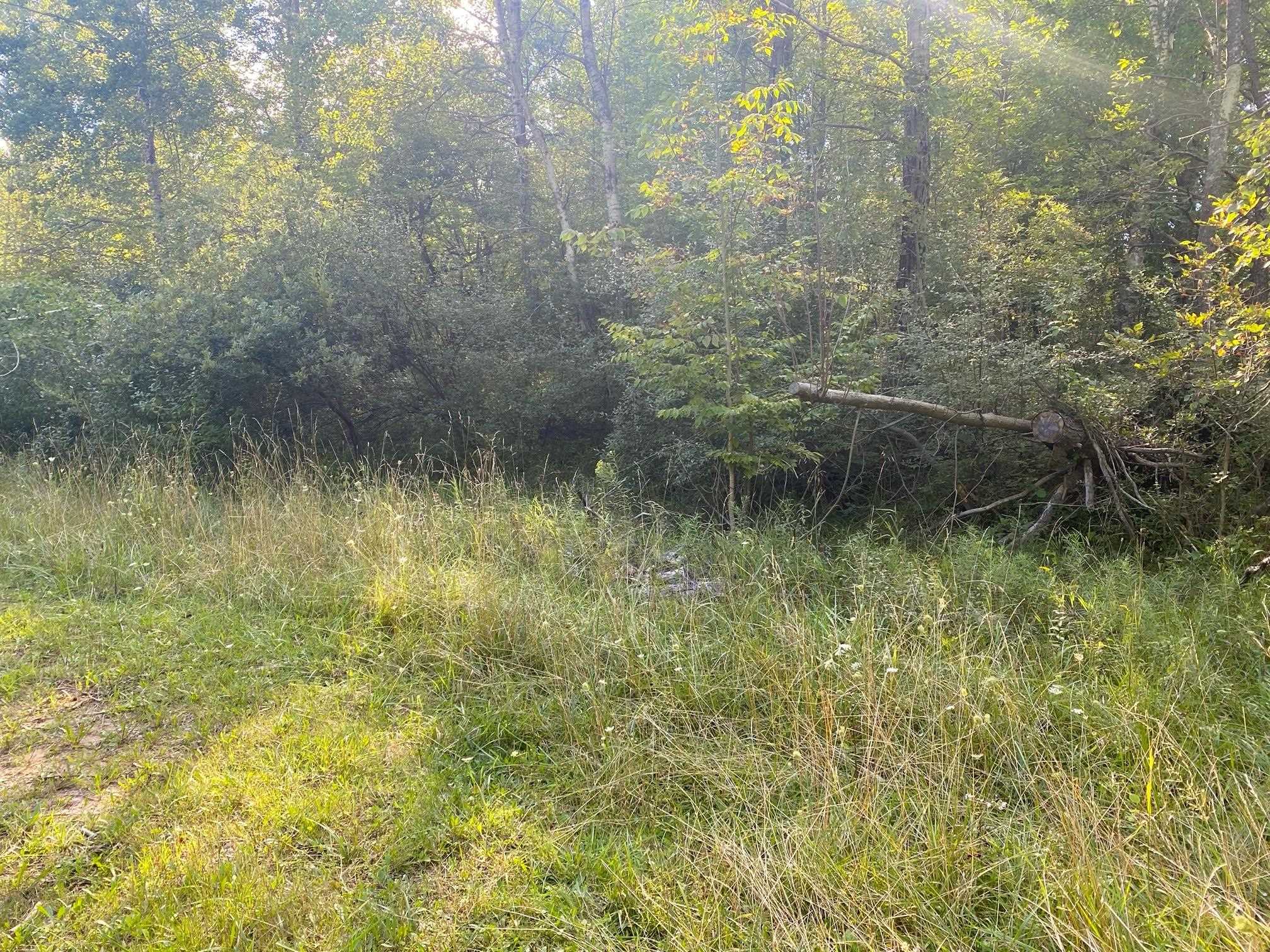Cowlitz Cove Property Photo 5