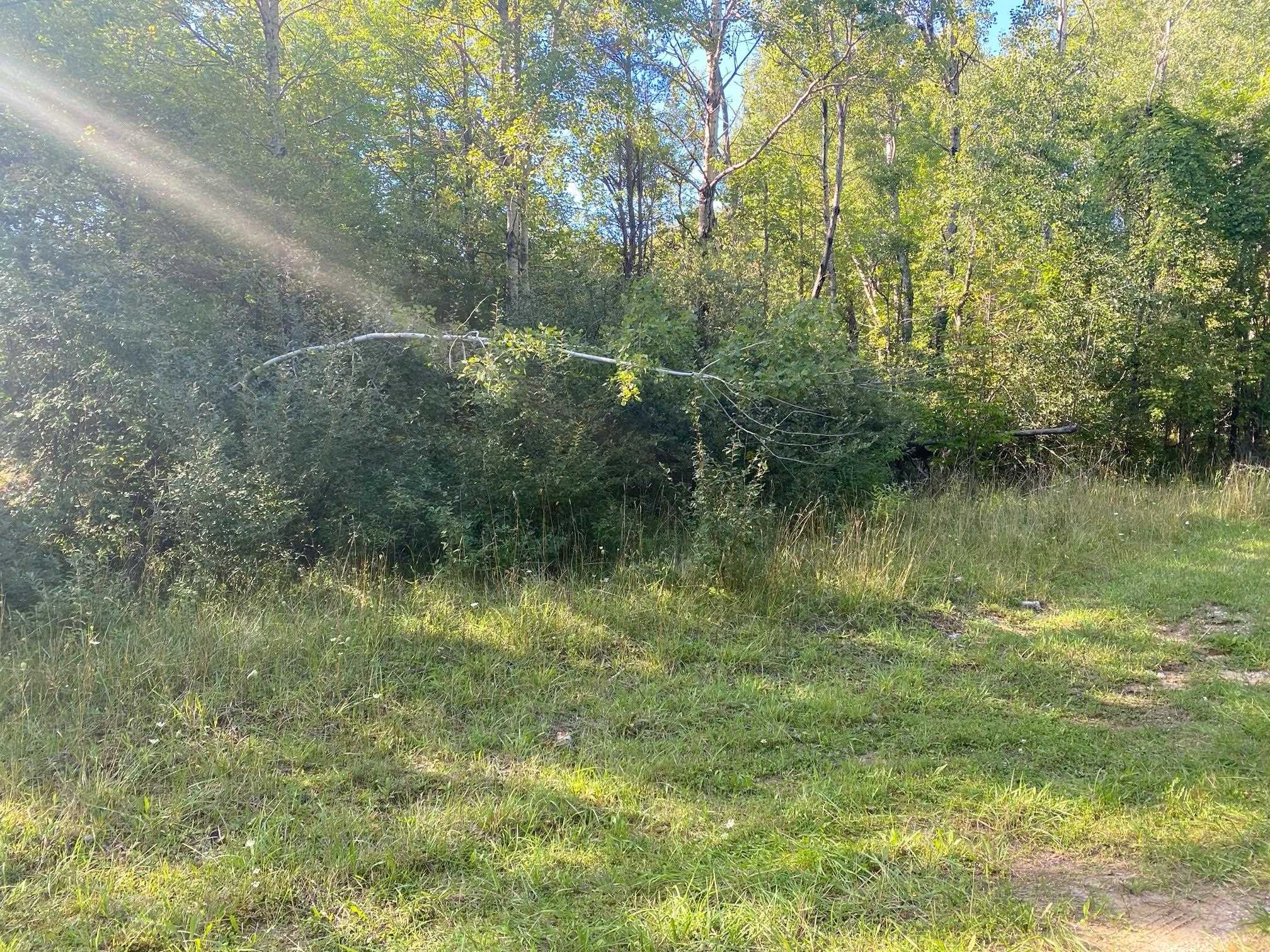Cowlitz Cove Property Photo 6