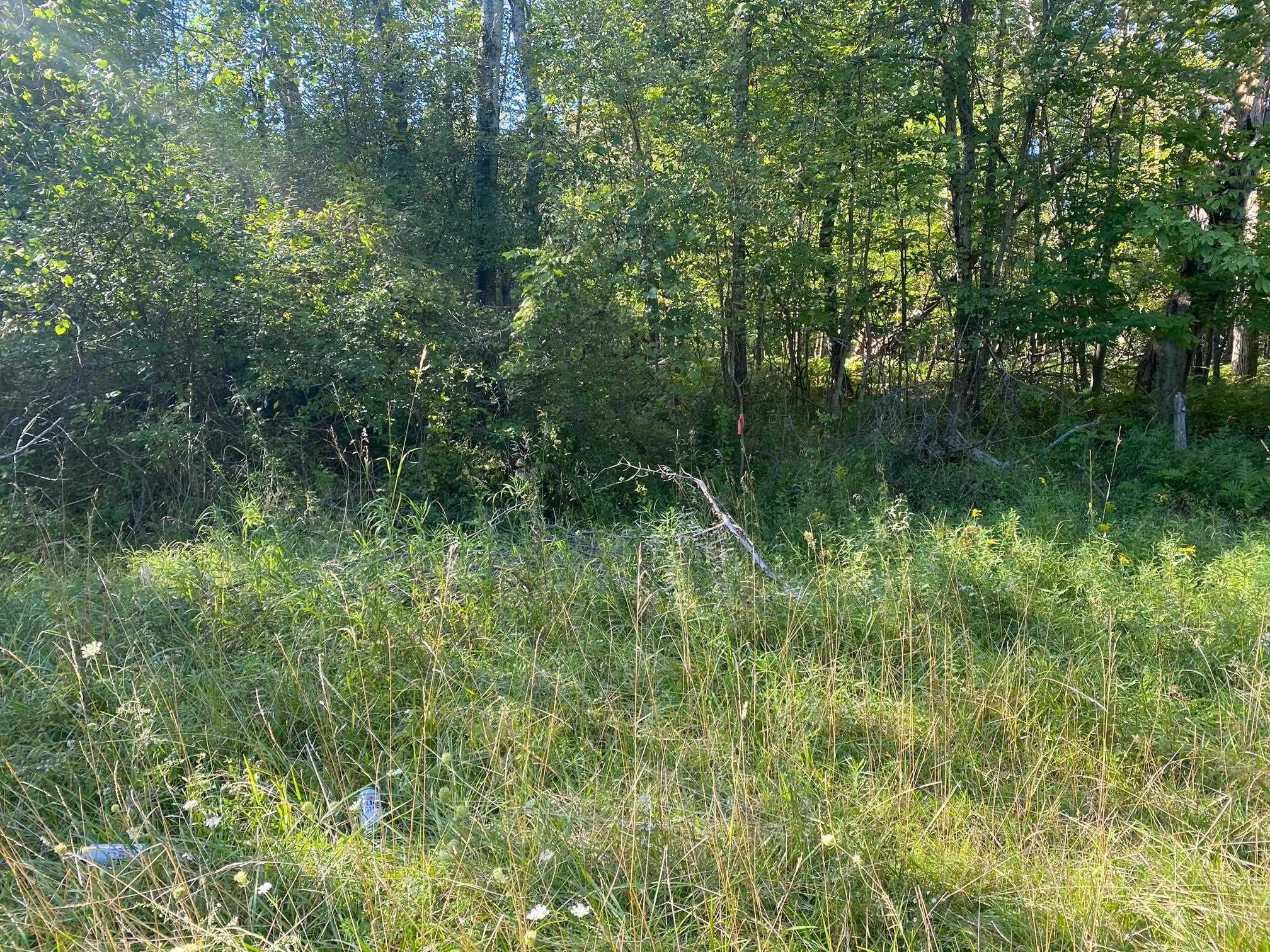 Cowlitz Cove Property Photo 10