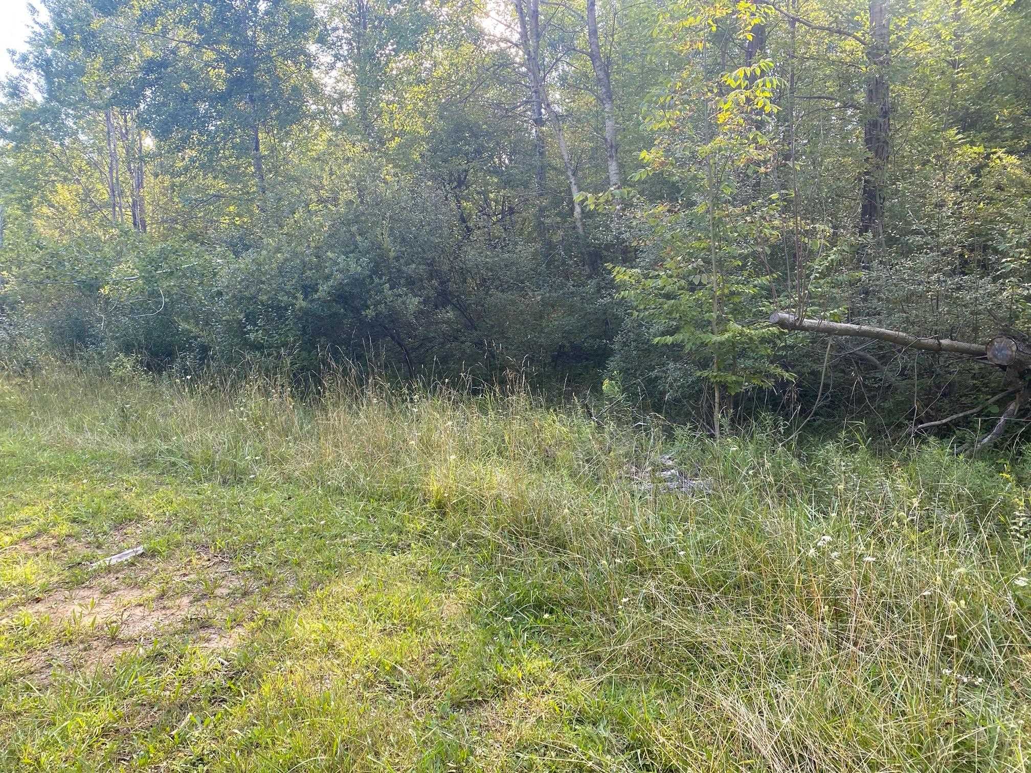 Cowlitz Cove Property Photo 13