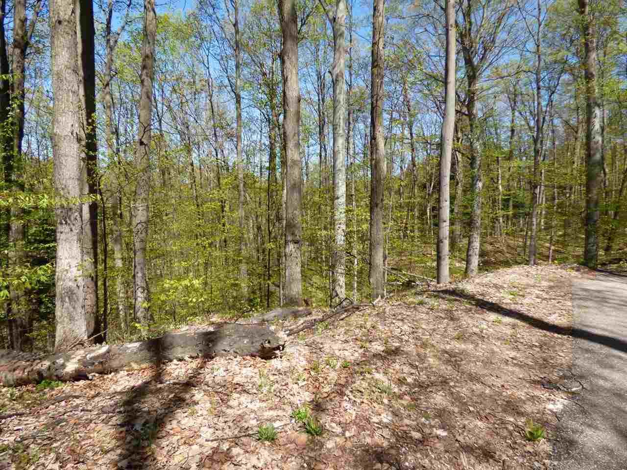 Parcel B Broken Arrow Property Photo 6