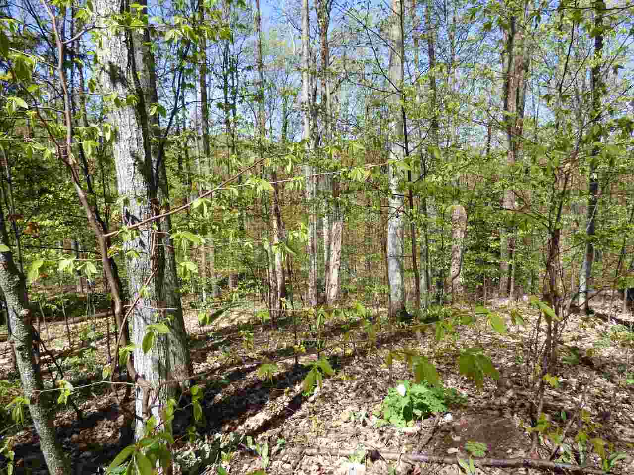 Parcel B Broken Arrow Property Photo 7