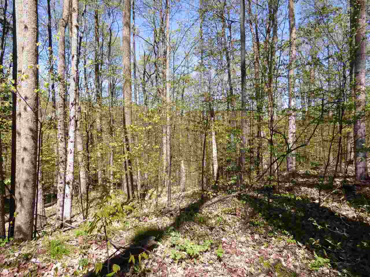Parcel B Broken Arrow Property Photo 9