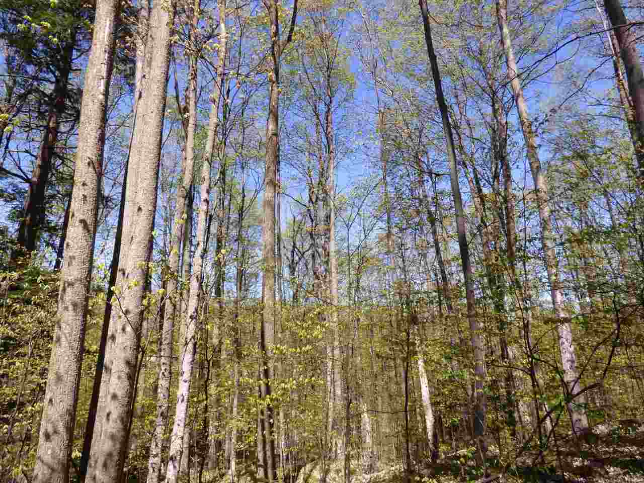 Parcel B Broken Arrow Property Photo 11