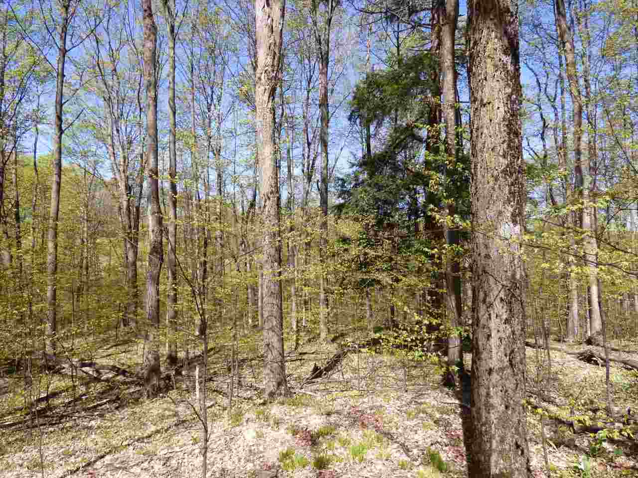 Parcel B Broken Arrow Property Photo 14
