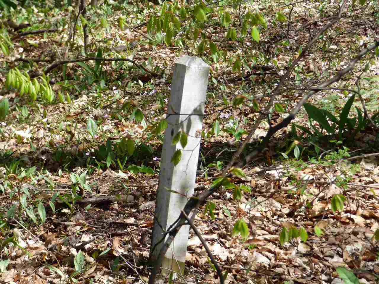 Parcel B Broken Arrow Property Photo 18