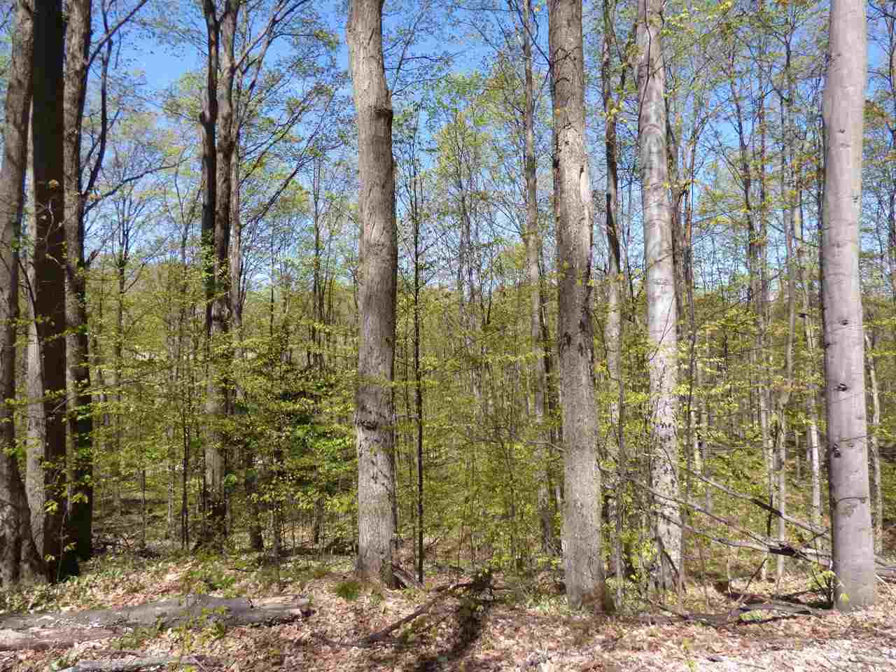 Parcel B Broken Arrow Property Photo 20